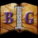 Board Game Immersion logo