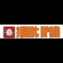 The Giant Brain logo